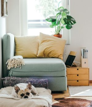 brina-blum-nWX4pKwzLoE-unsplash